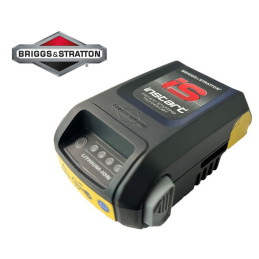 AKUMULÁTOR BRIGGS&STRATTON...