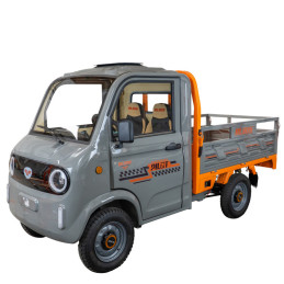 RURIS PILOT 5000G e-cargo šedé