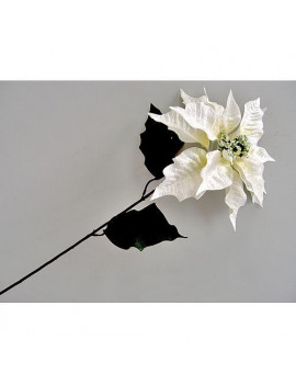 Kvet Poinsettia 75,...