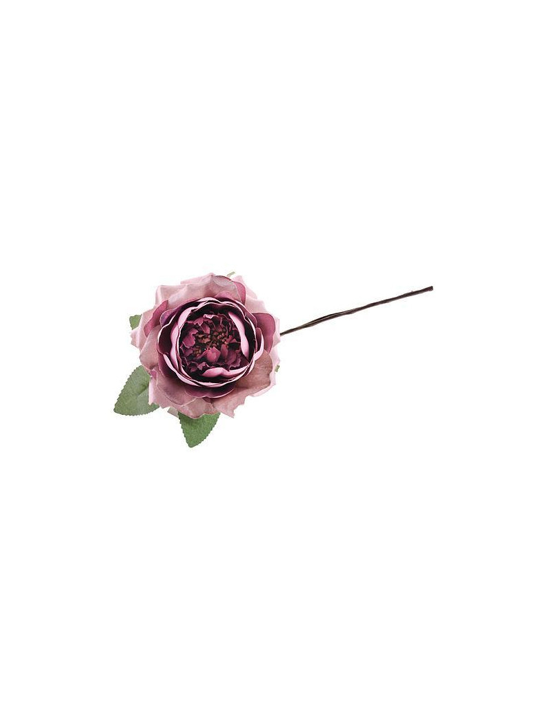 Kvet ruža rozvitá, tmavo ružová, stonka, bal. 6 ks