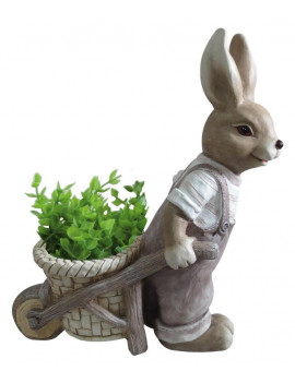 Záhradné dekorácie, sukulenty