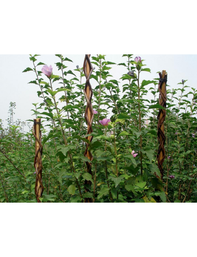 Tyč Garden Willow 130 cm, prútená, oporná k rastlinám