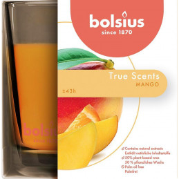 Sviečka bolsius Jar True Scents 95/95 mm, mango